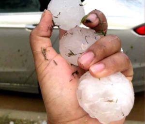Hand holding hail