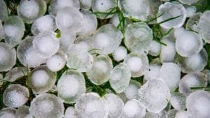 Hail on grass