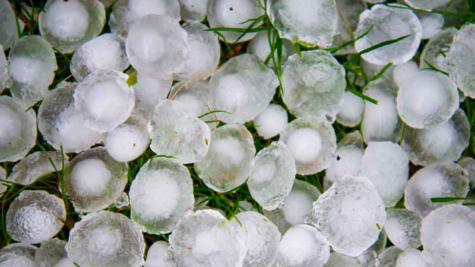 Hail on grass