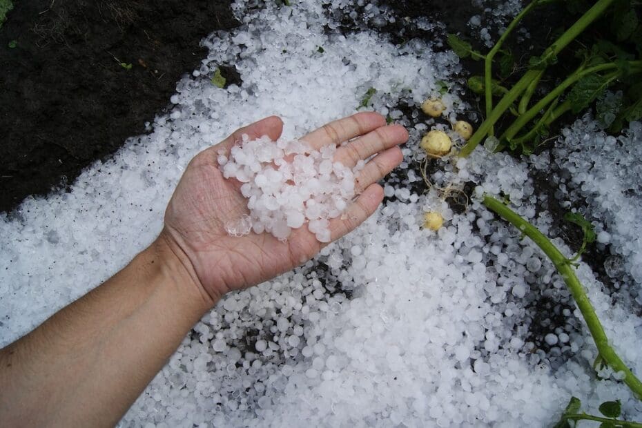 Close up of a hand holding a bunch of hail stones above the ground covered in hail stones